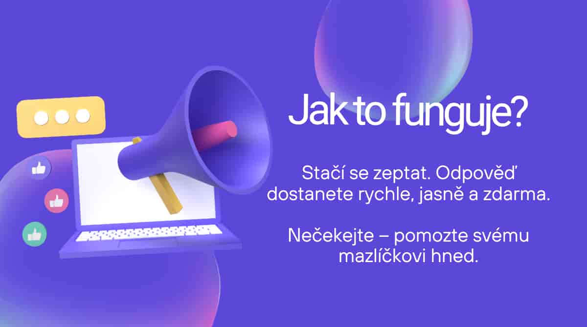 Online veterinární poradna